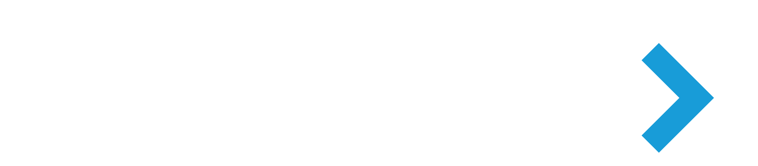 echoes-logo-whitecyan-RGB (1) (1)